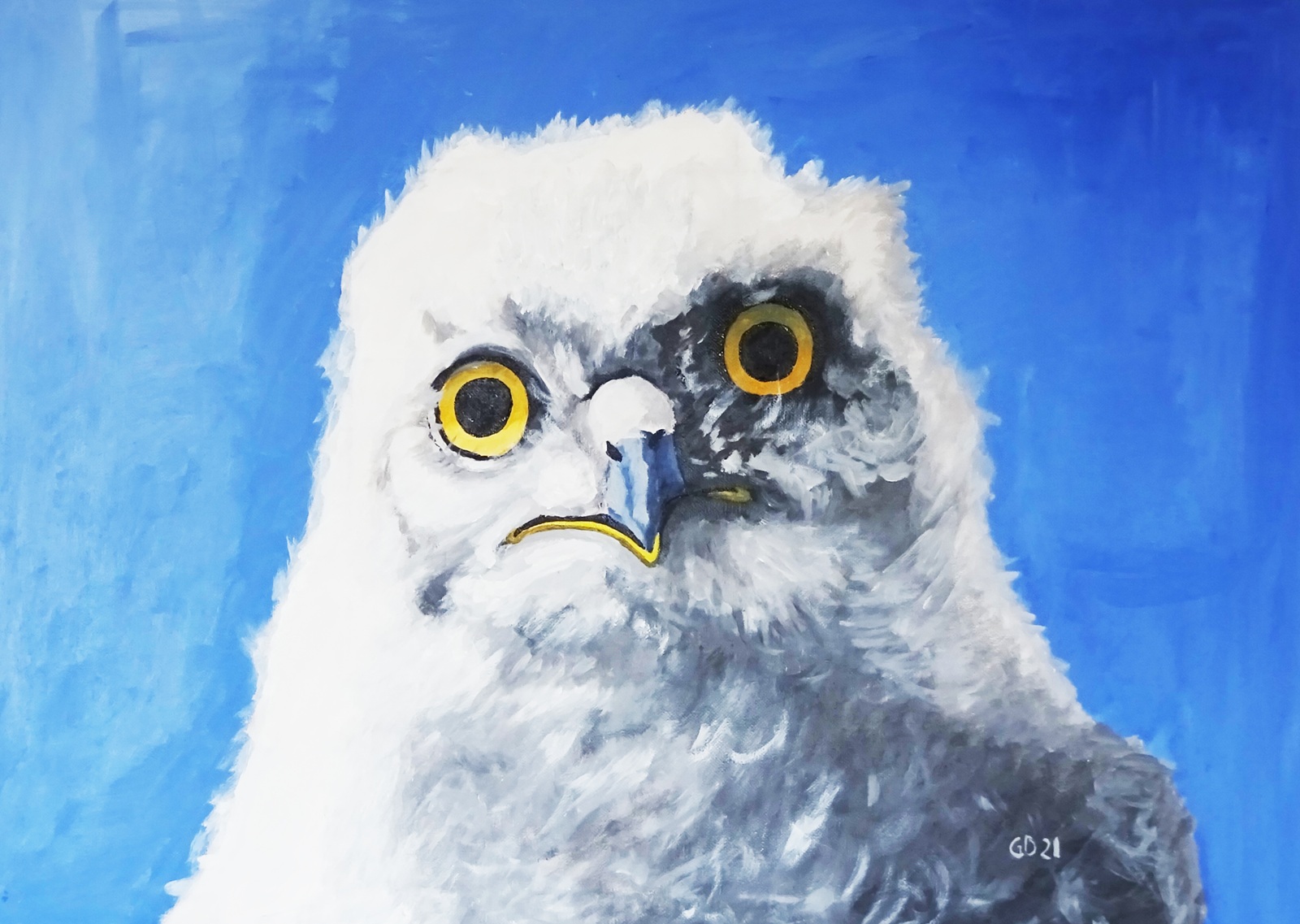Eule